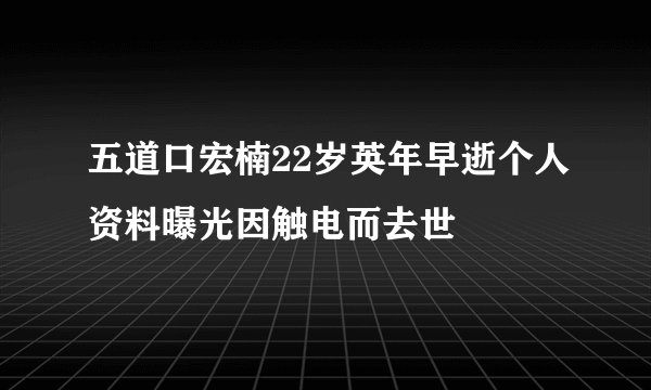 五道口宏楠22岁英年早逝个人资料曝光因触电而去世