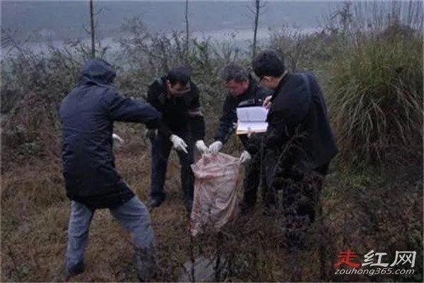 刁爱青留下的7个字是什么意思 案件不敢查陈寒冬？