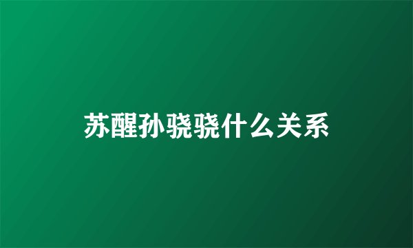 苏醒孙骁骁什么关系