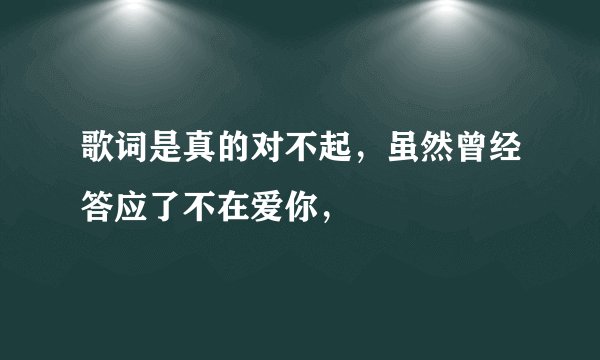 歌词是真的对不起，虽然曾经答应了不在爱你，