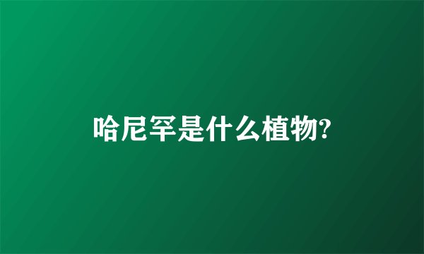 哈尼罕是什么植物?