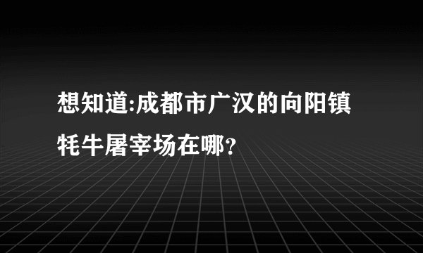 想知道:成都市广汉的向阳镇牦牛屠宰场在哪？