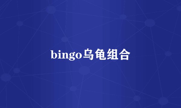 bingo乌龟组合
