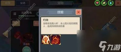 创造与魔法宠物大全宠物抓捕方法汇总介绍