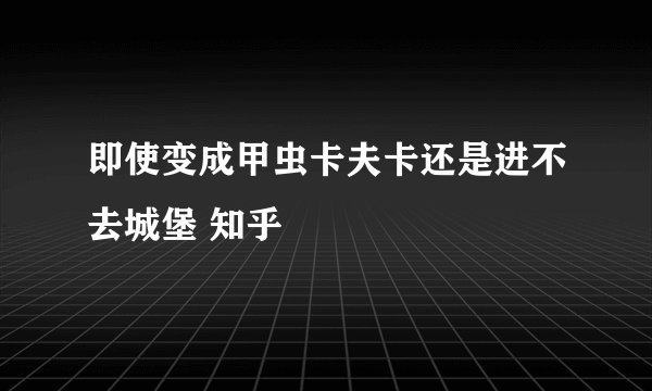 即使变成甲虫卡夫卡还是进不去城堡 知乎