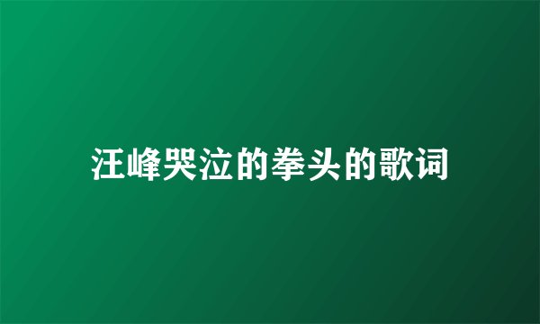 汪峰哭泣的拳头的歌词