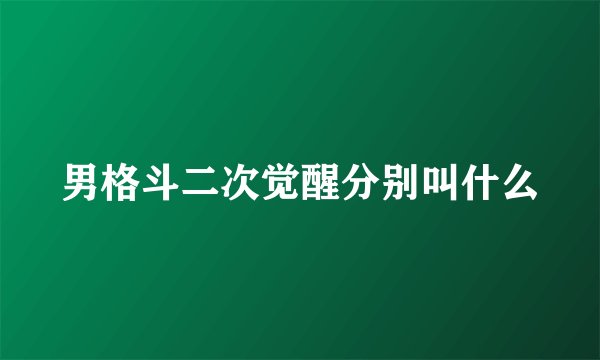 男格斗二次觉醒分别叫什么