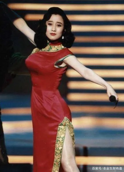 利智为何不做赌王五太?“吊”了李连杰10年才肯嫁,背后有什么秘密?