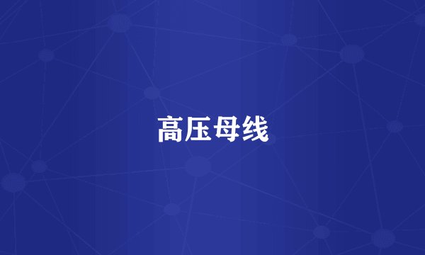 高压母线