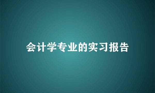 会计学专业的实习报告