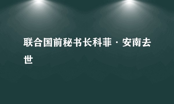 联合国前秘书长科菲·安南去世