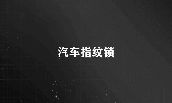 汽车指纹锁
