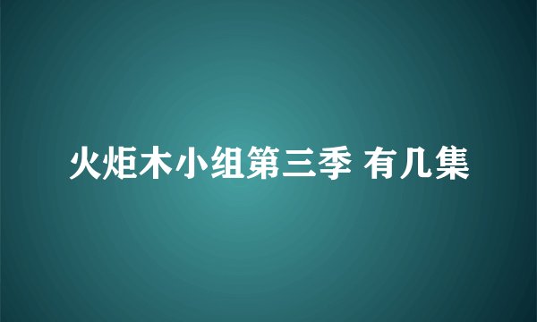火炬木小组第三季 有几集