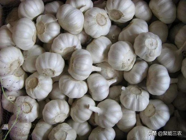 大蒜降价了