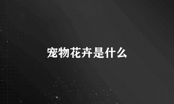 宠物花卉是什么