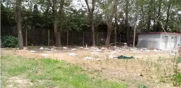 52岁大叔,在北京用集装箱造了一栋“桃花源”别墅,看完就膜拜了!