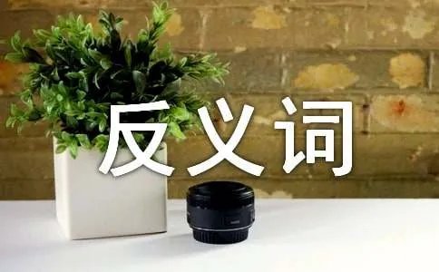 掩饰的反义词是什么