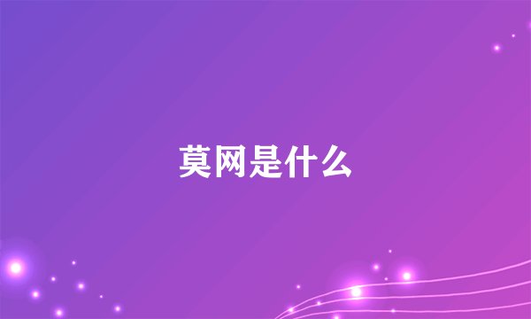莫网是什么