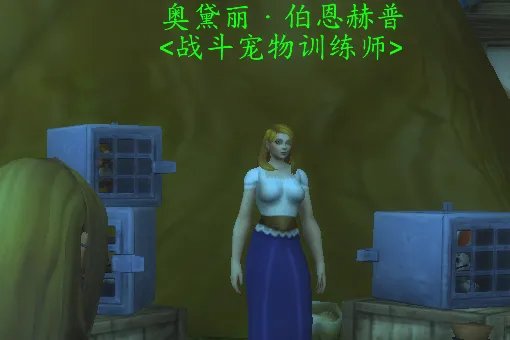 魔兽世界战斗宠物训练师在哪