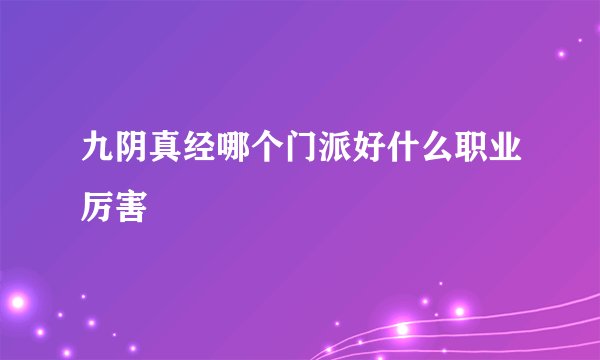 九阴真经哪个门派好什么职业厉害