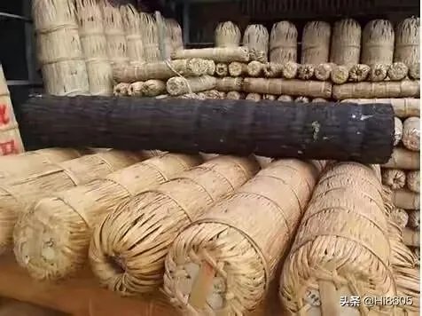 世界上有哪些历史情节,奇葩到小说都不敢那么写?