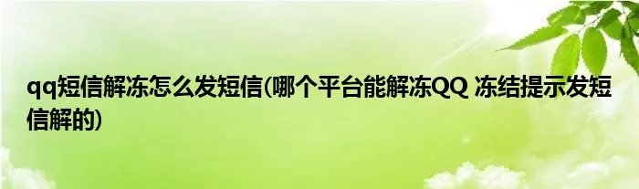 qq短信解冻怎么发短信(哪个平台能解冻QQ 冻结提示发短信解的)