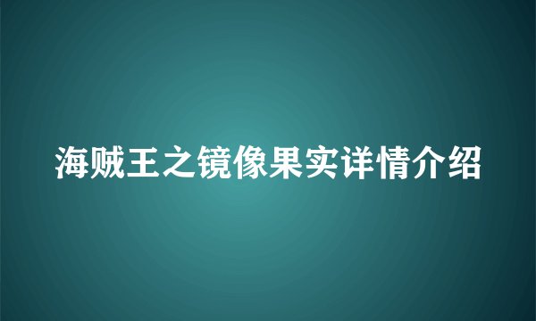 海贼王之镜像果实详情介绍