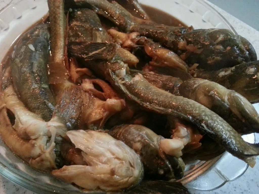 酱扔巴鱼的介绍