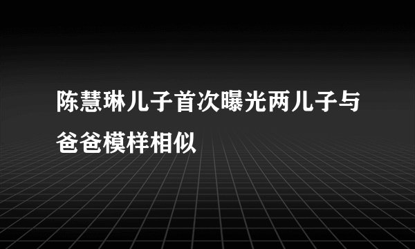 陈慧琳儿子首次曝光两儿子与爸爸模样相似