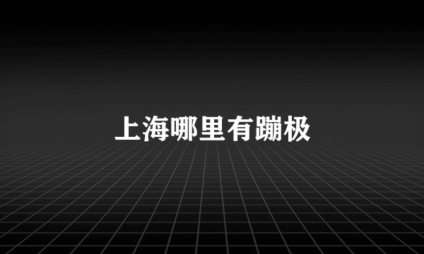 上海哪里有蹦极