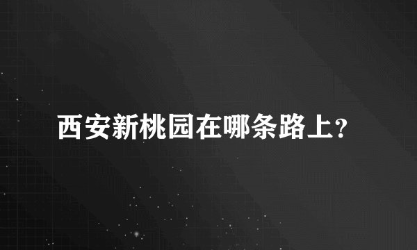 西安新桃园在哪条路上？