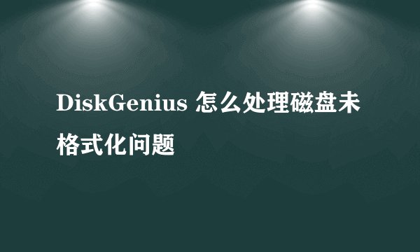 DiskGenius 怎么处理磁盘未格式化问题