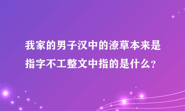 我家的男子汉中的潦草本来是指字不工整文中指的是什么?