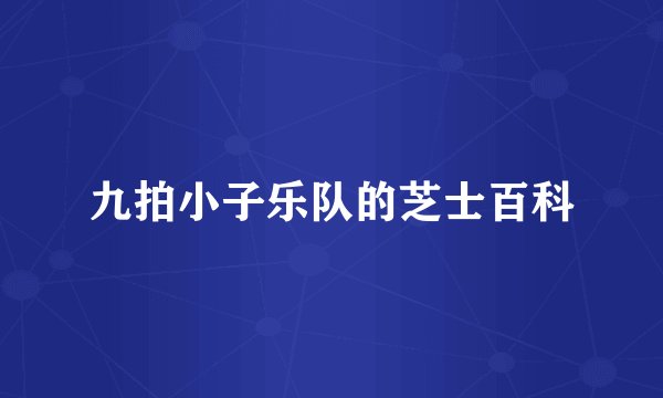 九拍小子乐队的芝士百科
