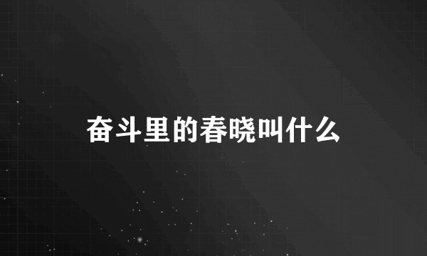 奋斗里的春晓叫什么