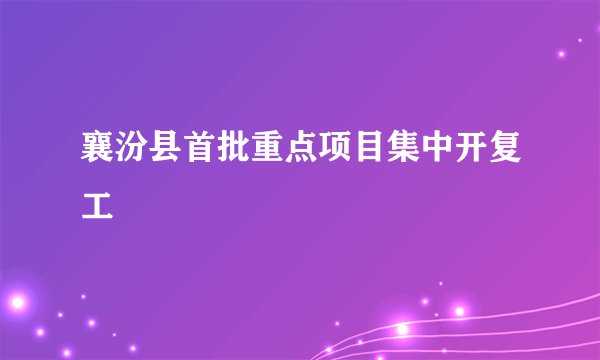 襄汾县首批重点项目集中开复工