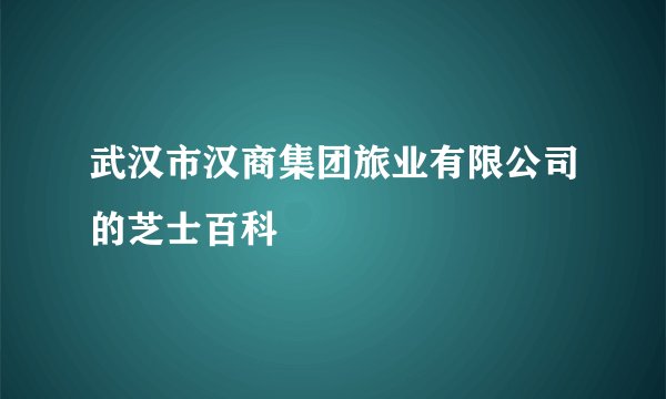 武汉市汉商集团旅业有限公司的芝士百科