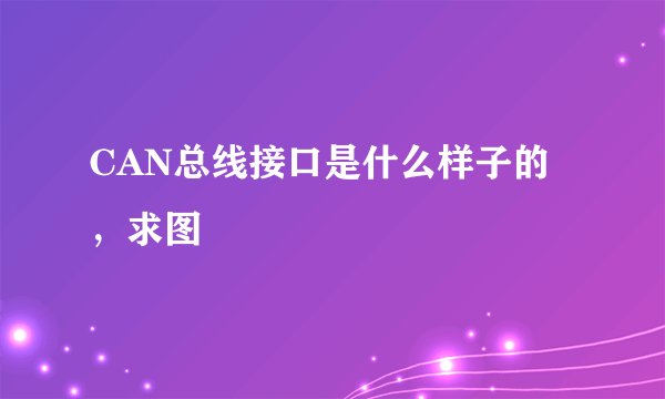 CAN总线接口是什么样子的，求图