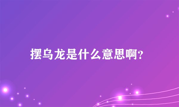 摆乌龙是什么意思啊？