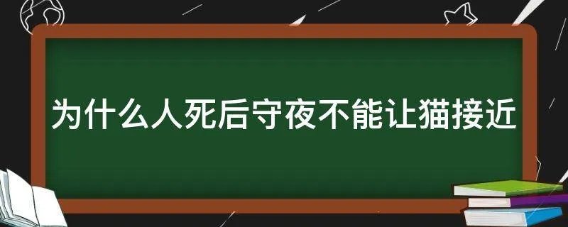 为什么人死后守夜不能让猫接近