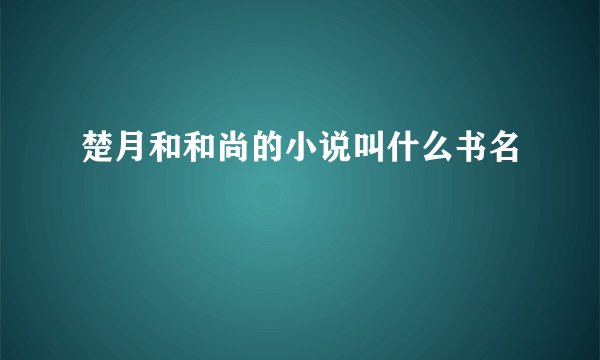 楚月和和尚的小说叫什么书名