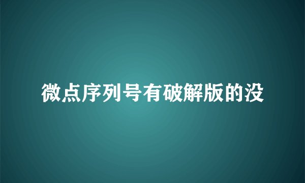微点序列号有破解版的没