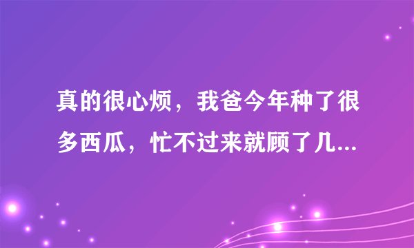 真的很心烦，我爸今年种了很多西瓜，忙不过来就顾了几个人帮忙，我今天给他打电话他说贷款好几万？