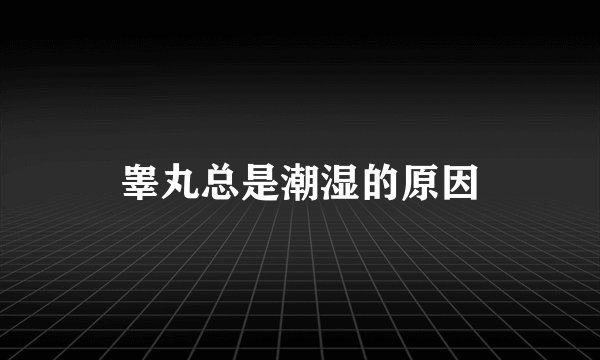 睾丸总是潮湿的原因