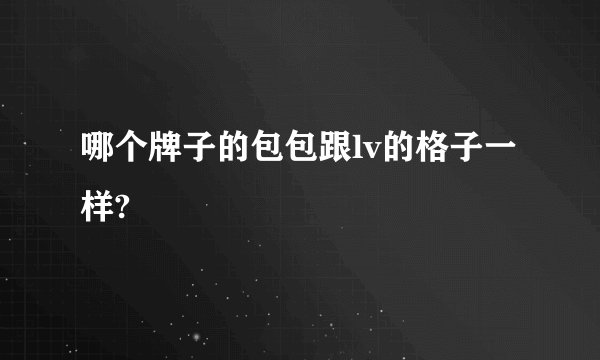 哪个牌子的包包跟lv的格子一样?