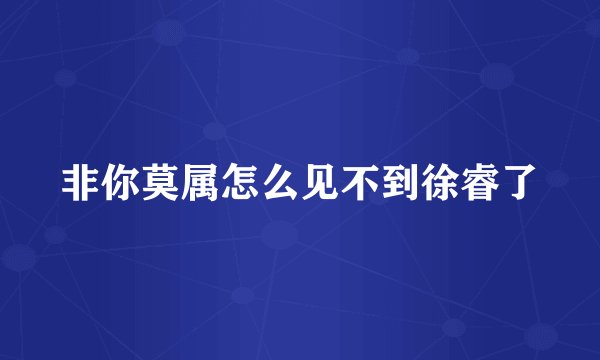非你莫属怎么见不到徐睿了