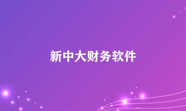 新中大财务软件