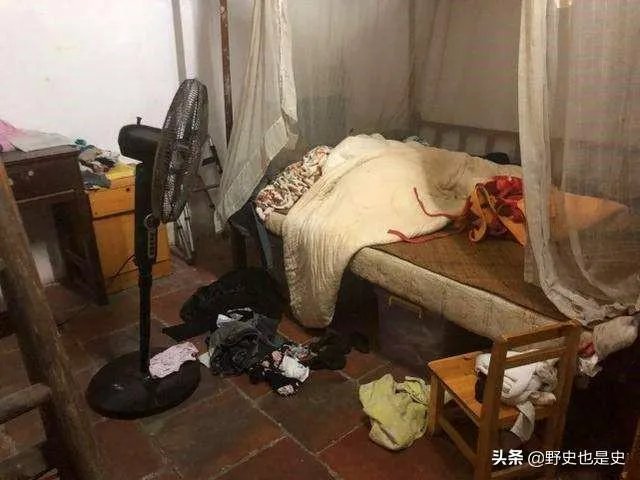 为什么佛山88岁老人被狗绊倒家属不追责?如何去理解这种做法?