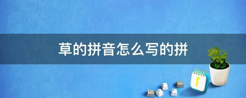 草的拼音怎么写的拼