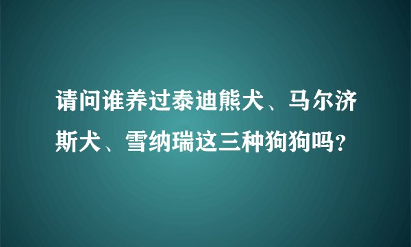请问谁养过泰迪熊犬、马尔济斯犬、雪纳瑞这三种狗狗吗？